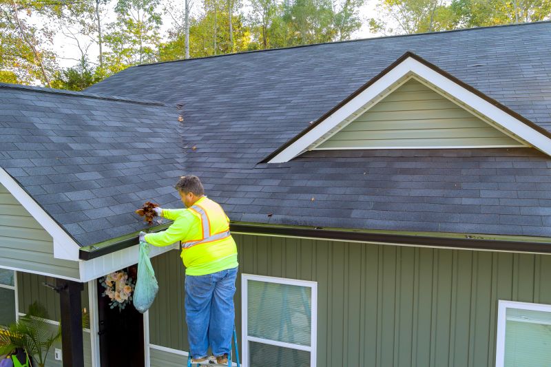 Gutter Cleaning and Repair