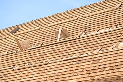 Specialty Roofing Services